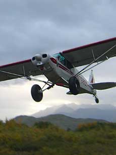 Home Page Image